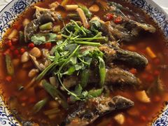 -高坎一品甲鱼庄(两河店)