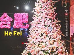 -合肥火车站(地铁站)