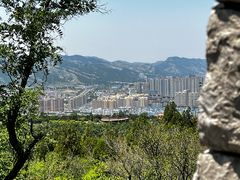 -原山国家森林公园