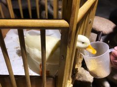-馬蘭花開(车站大道店)
