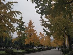 -四川大学(华西校区)