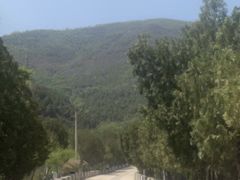 -北京十三陵国家森林公园蟒山景区