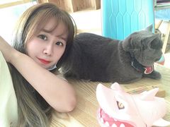 -猫在这儿猫咪咖啡馆·撸猫馆