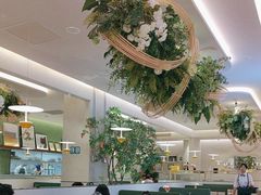-Aqua Oasis 水天堂(太湖中心mall店)