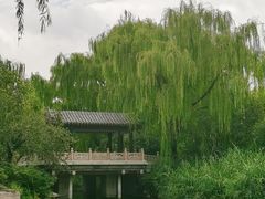 -济南大明湖景区