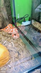 -趣玩空间蹦床乐园(临平旗舰店)