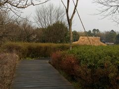 android_upload_pic-西湖茶墅