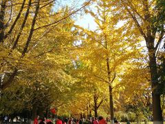 -辽东学院(南校区)