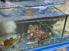 -鑫釜山海鲜烧烤(浑南店)