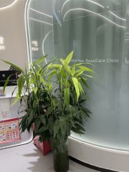 -联合丽格·张菡丽格医疗美容