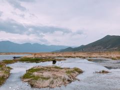 -泸沽湖国家级风景名胜区走婚桥