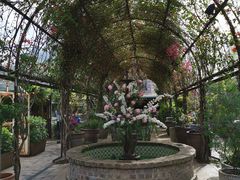 -The Grounds of Alexandria
