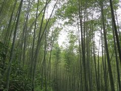 -千泷沟大瀑布旅游区