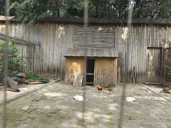 -深圳野生动物园