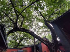 -成都武侯祠博物馆