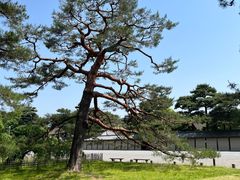 -京都御所