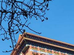 -大明幻境第一城