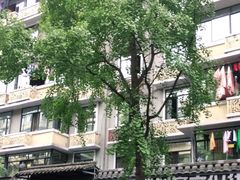 -奎星楼街