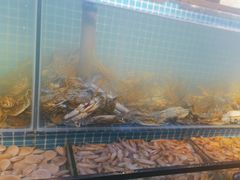 -海天盛宴潮汕蒸汽海鲜高端自助形象店