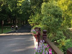 -东平国家森林公园