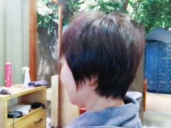 -V-STAR威斯达•高级私人定制