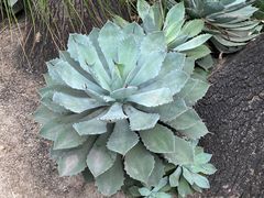 -华南国家植物园-售票处