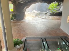 -新加坡飞禽公园