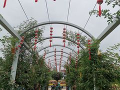 -龙寺生态园