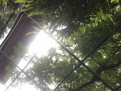 -zarah(鼓楼店)