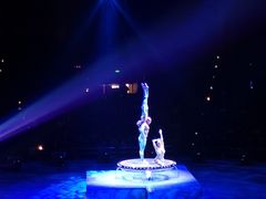 -珠海横琴长隆《卡卡虎奇遇记》