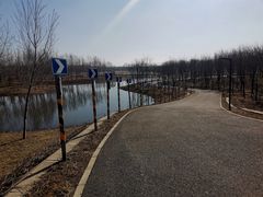 -东郊湿地公园