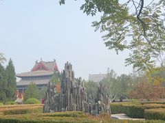 -大槐树寻根祭祖园