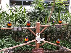 -南宫五洲植物乐园