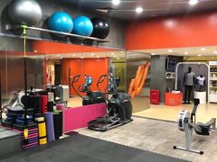 -健身专家Wellness Experts