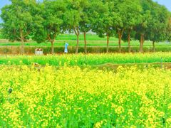 -光明小镇欢乐田园