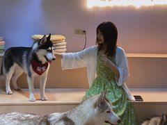 -Husky Go! 哈士奇体验馆·宠物咖啡厅狗咖
