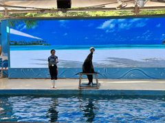 -厦门海底世界