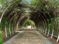 -同里国家湿地公园