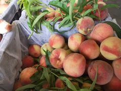 -大连果菜批发市场