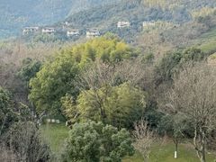 -天目湖御水温泉·度假酒店