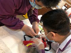 -宠爱国际动物医院·消化内科·心肾内科·ISFM猫友好(望京店)