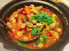 辣酒煮花螺-强记海鲜·大排档(蛇口新街店)