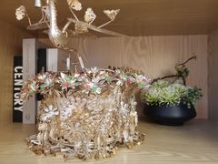 -马家斑.鲜鱼火锅(松湖万科店)