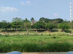 -红花山公园