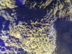 -泰安地下龙宫景区