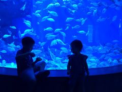 -成都浩海立方海洋公园