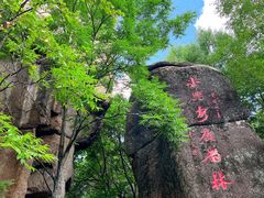 -汤旺河林海奇石景区