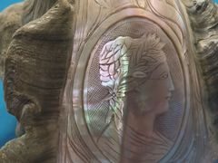 -青岛贝壳博物馆