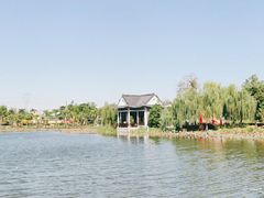 -映月湖公园