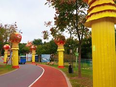 -上海长兴岛郊野公园